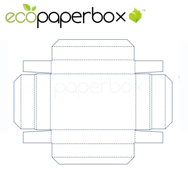 Packaging Carton Design International Standard Carton Ecosd00062-D031 - 2