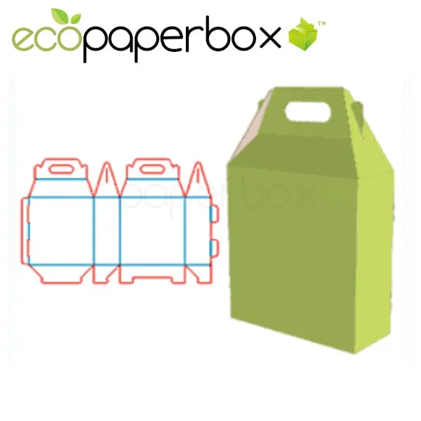 Gift Box Design Health Care Product Packaging Fruit Packaging with Hand Gift Box Corrugated Gift Ecosd00043-K052