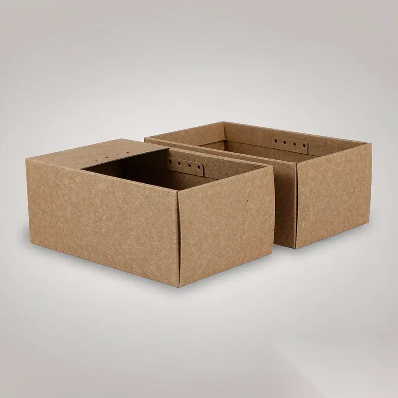 Custom Printed Subscription Gift Box with Insert - 3